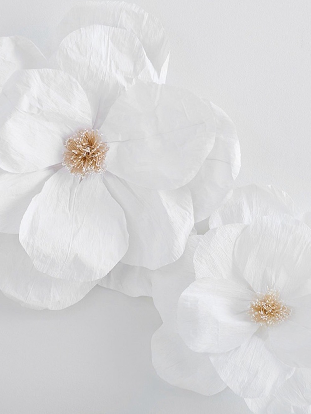 Flower earrings & headband bundle 🌺